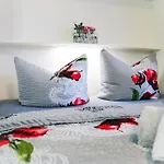 Fredys Paradies In Der Dom Stadt St Blasien Apartmán
