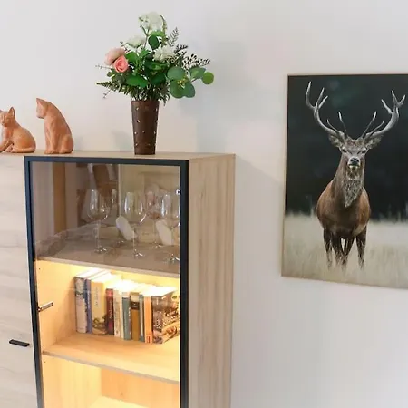 Apartmán Fredys Paradies In Der Dom Stadt St Blasien St. Blasien