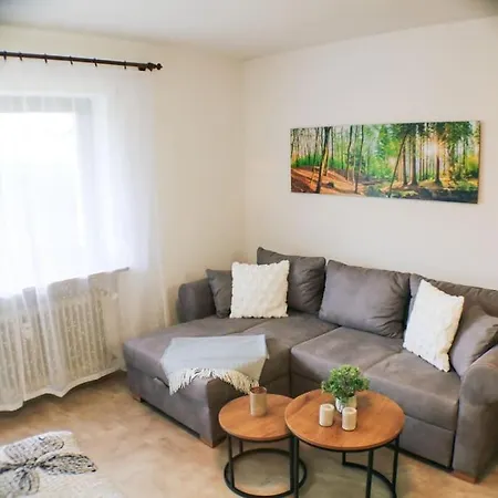 Fredys Paradies In Der Dom Stadt St Blasien * St. Blasien